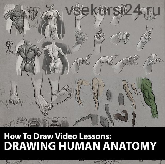 Как рисовать: рисуем анатомию человека. How to Draw: Drawing Human Anatomy (Аарон Блейз)