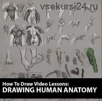 Как рисовать: рисуем анатомию человека. How to Draw: Drawing Human Anatomy (Аарон Блейз)