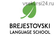 Онлайн-уроки Английского языка. Пакет - 2,3,7,8,10 (Антон Брежестовский)