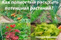 Как полностью раскрыть потенциал растений (Николай Курдюмов)