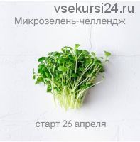 Микрозелень-челлендж (Ольга Зингер)