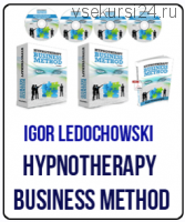 Гипнотерапия: Бизнес-модель (Игорь Ледоховский)