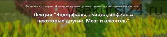 [Архэ] Эндорфины, глицин, кофеин и некоторые другие. Мозг и алкоголь (транскрибация + видео) (Вячеслав Дубынин)