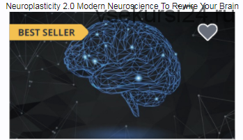 [Udemy.com] Нейропластичность 2.0 – Современный подход к перепрограммированию мозга (Сильвио Мариск)