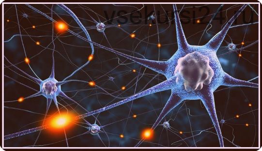 [Udemy.com] Нейропластичность: Как перемонтировать свой мозг (Gregory Caremans)