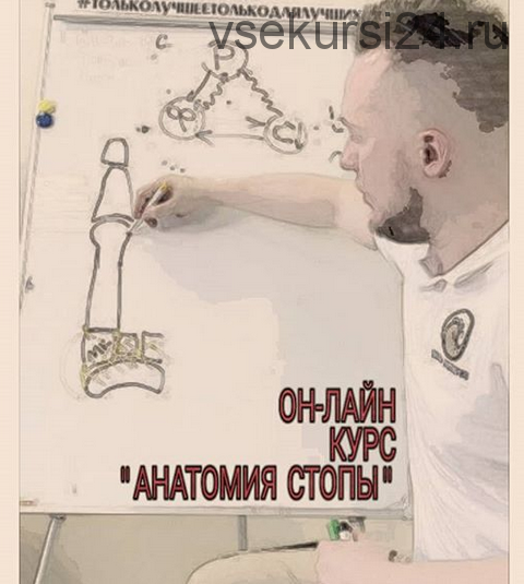 Анатомия стопы (Кирилл Шлыков)