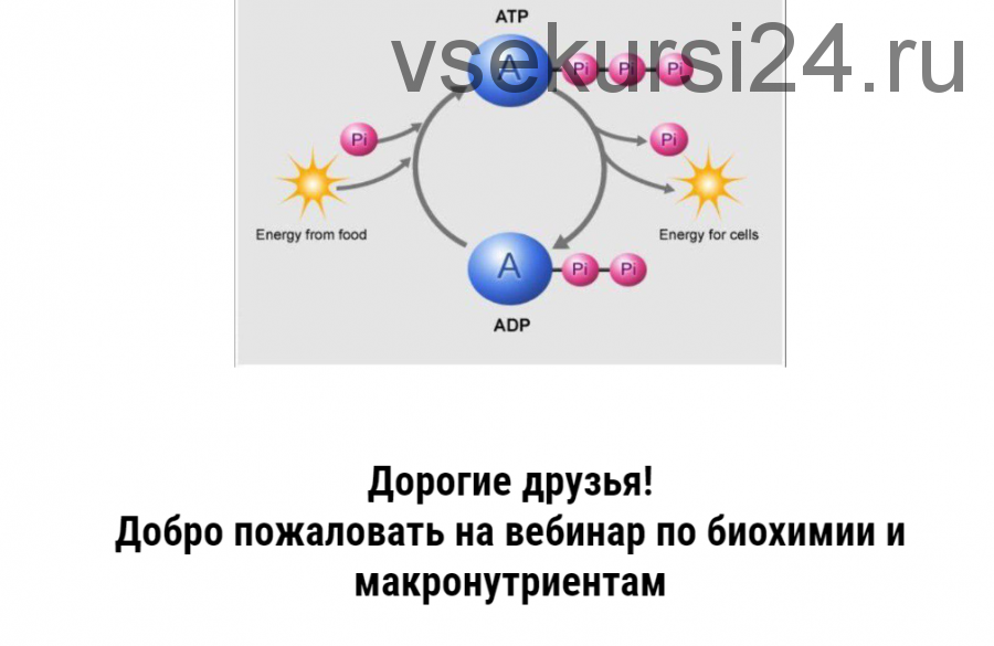Биохимия (Дмитрий Путылин)