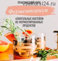 Ферменториум. Алкогольные коктейли из ферментированных продуктов (Юлия Мальцева)
