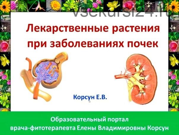 Фитооздоровление при заболеваниях почек и мочевого пузыря (Елена Корсун)