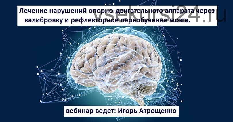 Лечение нарушений опорно-двигательного аппарата через калибровку и рефлекторное переобучение мозга