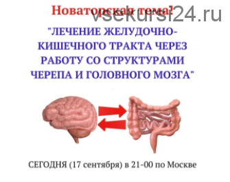 Лечение желудочно-кишечного тракта через работу со структурами черепа (Игорь Атрощенко)