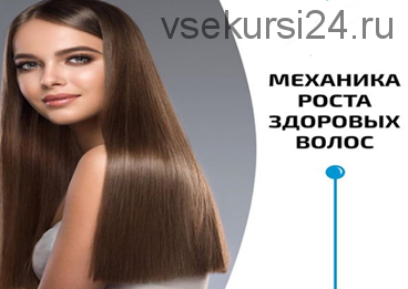 Механика роста здоровых волос (Владимир Животов)