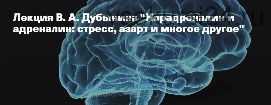 Resilience Maintain Excessive Adrenaline by Reduced Stress