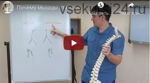 Здоровые суставы и мышцы. часть 4 (Антон Алексеев)