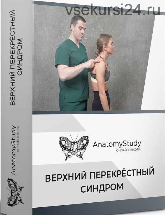 Anatomy Study] Верхний перекрестный синдром (Сергей Скворцов, Александр Семенов) скачать недорого, отзывы