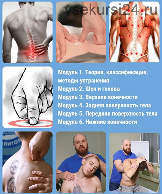 [Реабилитолог] Триггерные точки и миофасциальный болевой синдром (Алексей Кушнареко)