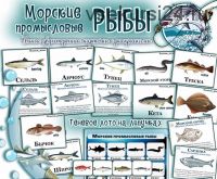 Морские промысловые рыбы (Елена Солдатова)