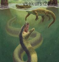 [Детский лекторий] По следу гигантской змеи титанобоа (Александр Толмачёв)