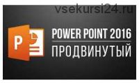 PowerPoint 2013/2016 Продвинутый курс (Екатерина Нечипоренко)