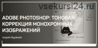 Adobe Photoshop тоновая коррекция монохромных изображений (Андрей Журавлев)