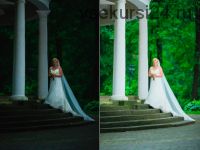 Художественная ретушь свадебных и семейных фото (Александра Семочкина)