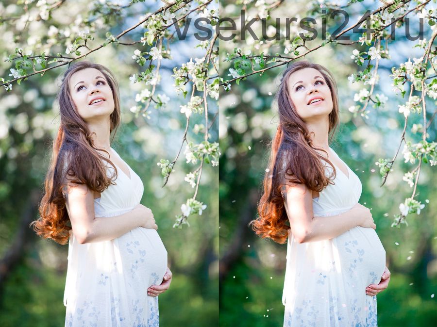 Лепестки цветов фотоналожение / White petals photo overlays (MixPixBox)