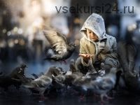 Pigeons… (Iwona Podlasi?ska) на английском