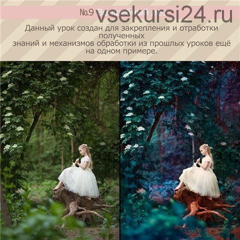 Урок для фотографа №9. Волшебный лес (Ирина Калмыкова)