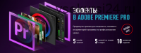[Profileschool] Эффекты в Adobe Premiere Pro 2020 (Дмитрий Ларионов)