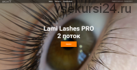 Lami Lashes Pro 2 поток. Тариф Стандартный+ (Ann_Romashka)
