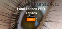 Lami Lashes Pro 3 поток. Тариф Стандартный+ (Анна Ромашенко)