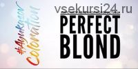 Perfect BLOND (Денис Аюкасов)