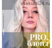 [Axiom System] PRO.блонд, онлайн обучение (Александр Кувватов)