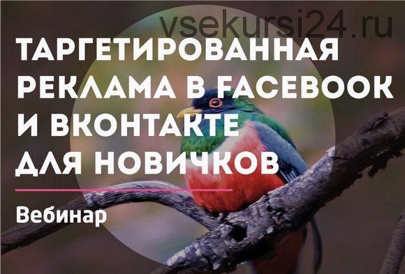 [Convert Monster] Реклама в Facebook и Вконтакте (Антон Петроченков)