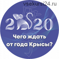 Чего ждать от года крысы 2020 (Оксана Сахранова)