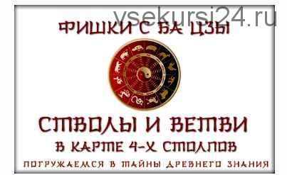 Фишки с бацзы Стволы и ветви. Структурный анализ. Потоки ци в карте бацзы (Юрий Сбитнев)