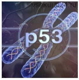 Ген Р53 (Юджиния Квант)