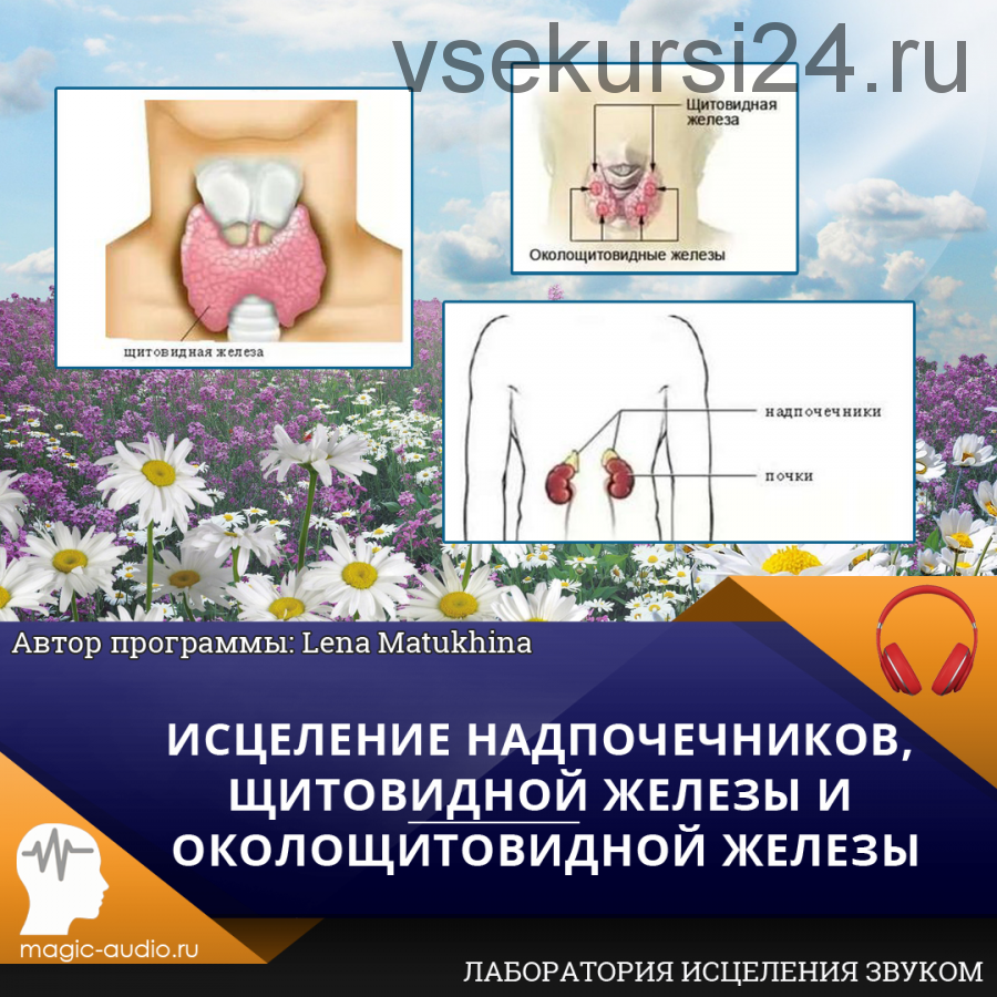 Исцеление надпочечников, щитовидной железы и околощитовидной железы (Lena Matukhina)
