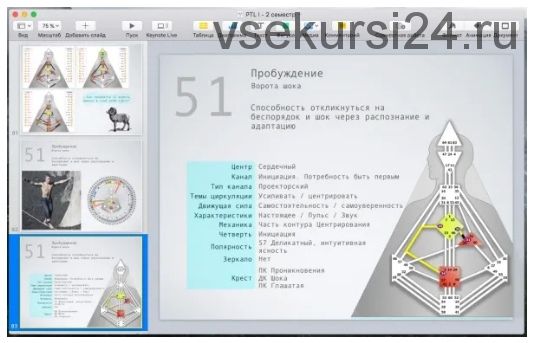 [Дизайн Человека] Курс «PTL I» месяц 2 (Виктор Крючков)