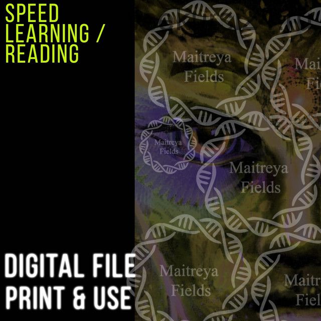 [Maitreya Fields] DM: скоростное обучение/чтение