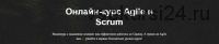 [ScrumTrek] Онлайн-курс Agile и Scrum (Асхат Уразбаев, Роман Баранов, Алексей Пименов)