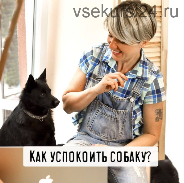 Как успокоить легковозбудимую собаку [schoolpetsfriends]