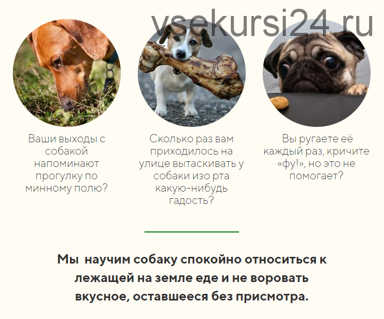 [kinologschool] Помойка: Как отучить собаку подбирать еду на улице (Антонина Зимарева)