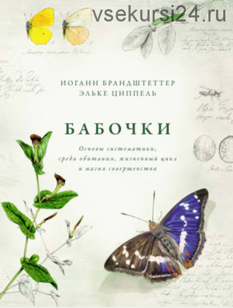 Бабочки: Основы систематики, среда обитания, жизненный цикл и магия совершенства (Иоганн Брандштеттер, Эльке Циппель)