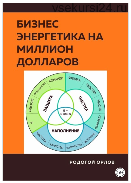 Бизнес Энергетика на Миллион Долларов (Родогой Орлов)