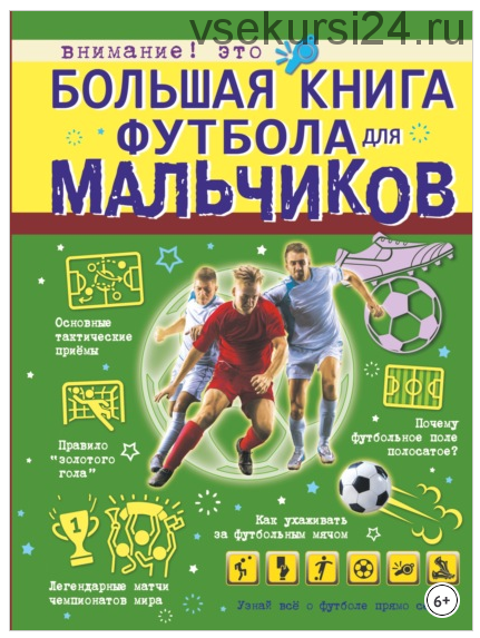 Большая книга футбола для мальчиков (Марк Шпаковский)