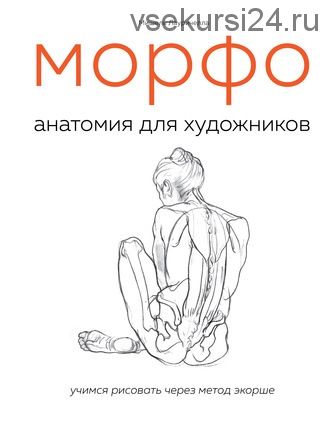 МОРФО. Анатомия для художников (Мишель Лауричелла)