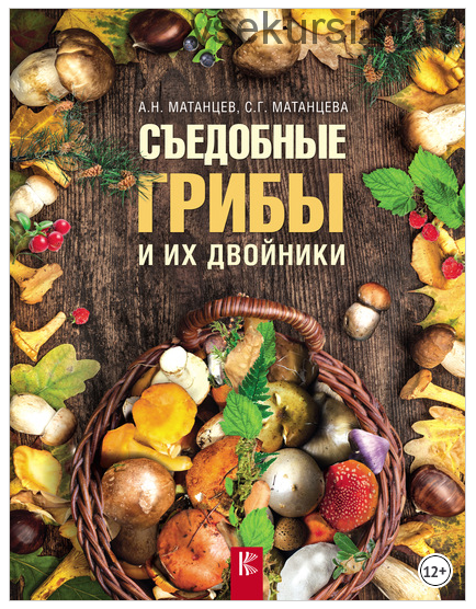 Съедобные грибы и их двойники (Александр Матанцев, Светлана Матанцева)