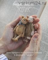 Видео-книга 'Котик' (Наталья Суранова)