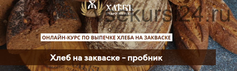 Хлеб на закваске - пробник (Светлана Аристова)